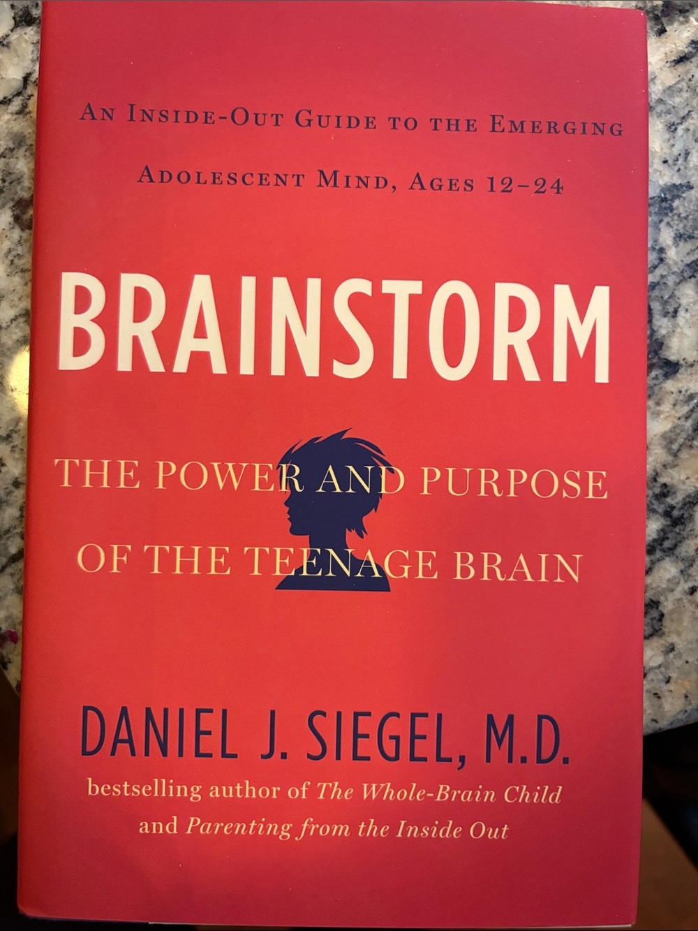 Brainstorm by Daniel J. Siegel - Red Cover